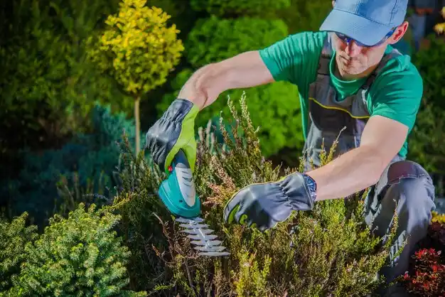 landscaping services Heritage Hills